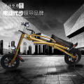 New design most popular electrical scooter with speaker